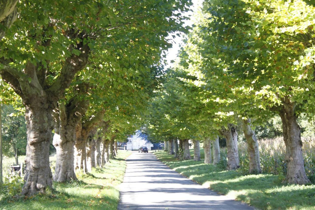 Avenue Du Chateau Saint-Just (Eure)